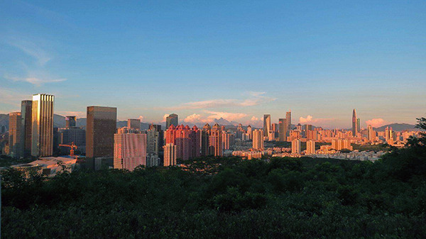 精準預測，優化采購計劃