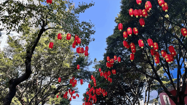 股權(quán)激勵方案與合伙人制度-公司股權(quán)設(shè)計股份獎勵與合伙人制度股權(quán)股份