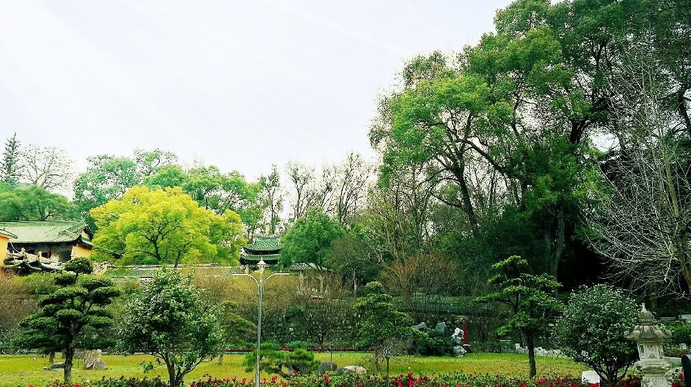阿米巴經營——支撐阿米巴經營的經營管理部門